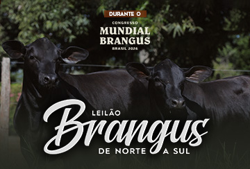 LEILÃO BRANGUS DE NORTE A SUL - CONGRESSO MUNDIAL BRANGUS